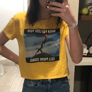 lion king crop top